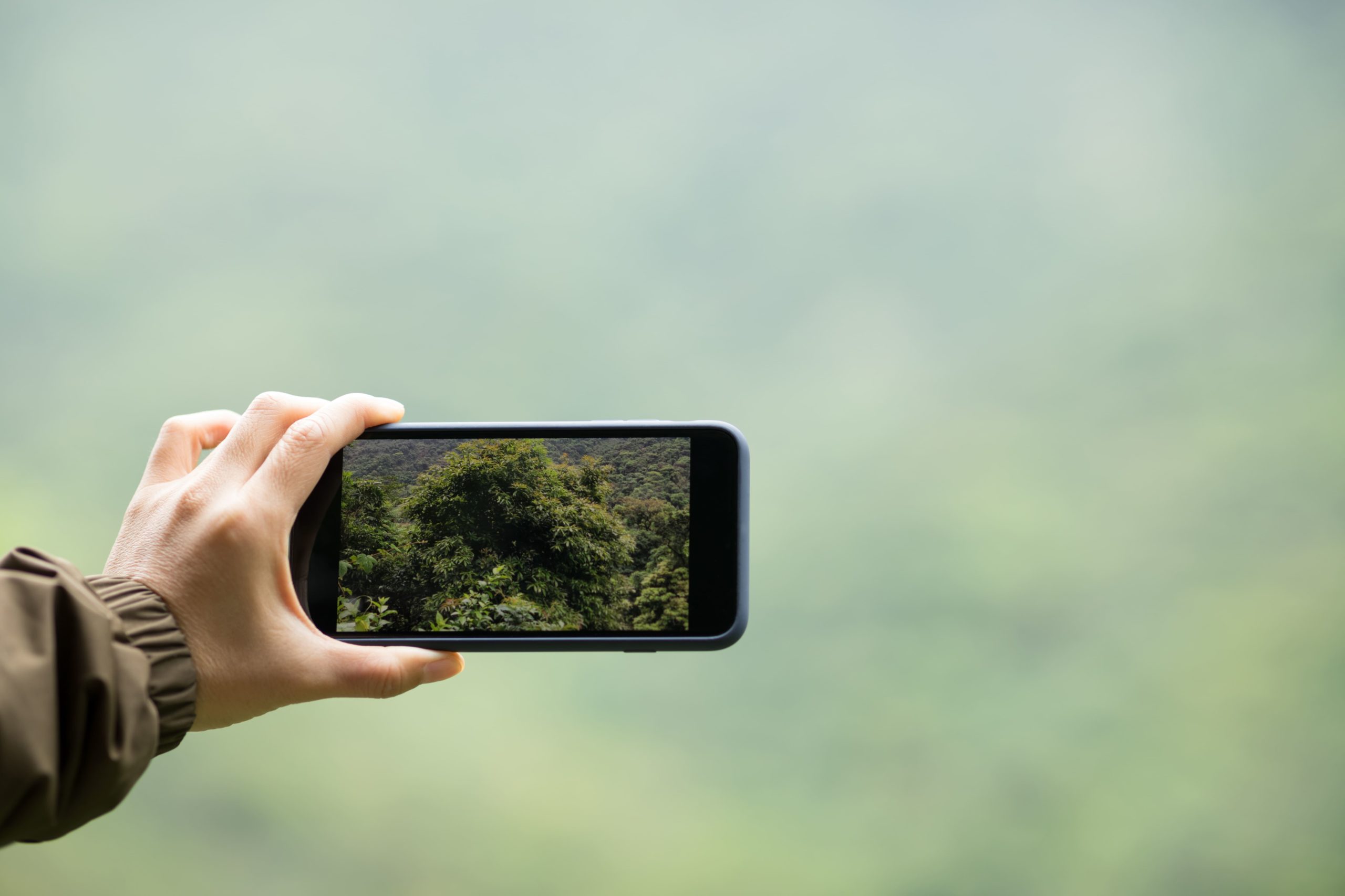 5 Tips To Take Photos For Your Website With A Phone