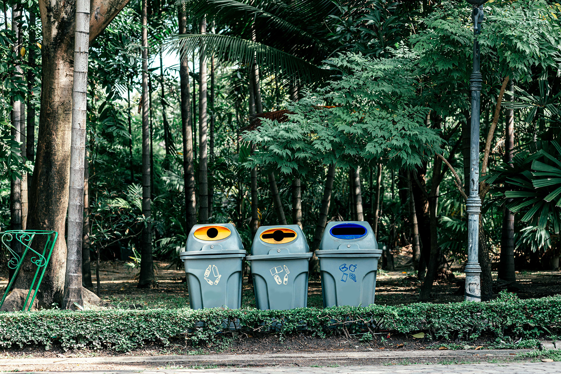 trash bins in a forest